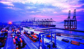 区域协同新篇章 浙江自贸区与苏州协同探索国际农副产品加工贸易中心建设